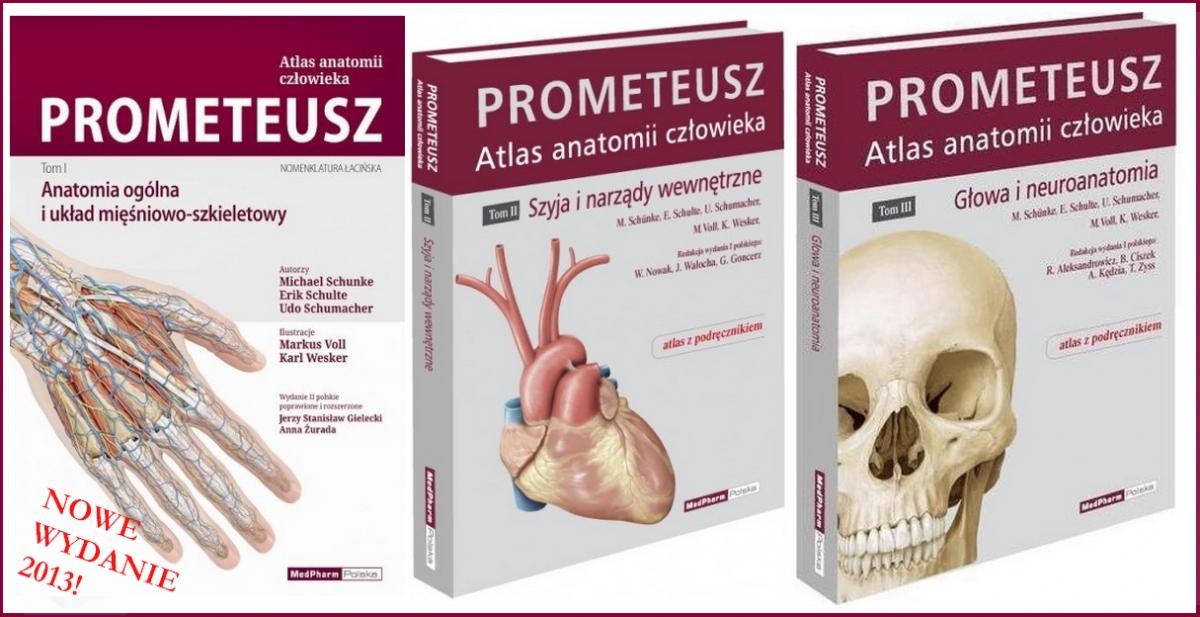 Sprzedam atlas Prometeusz lub angielską wersję - Thieme