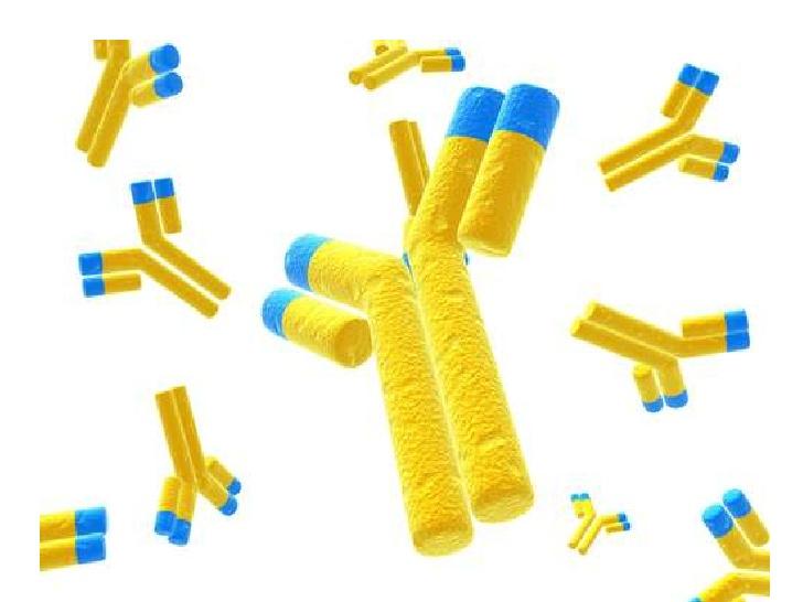 Immunoonkologia - renesans w terapii nowotworów!